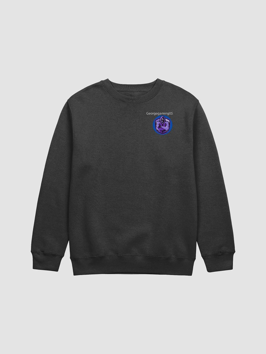 Womens Sweatshirt product image (1)