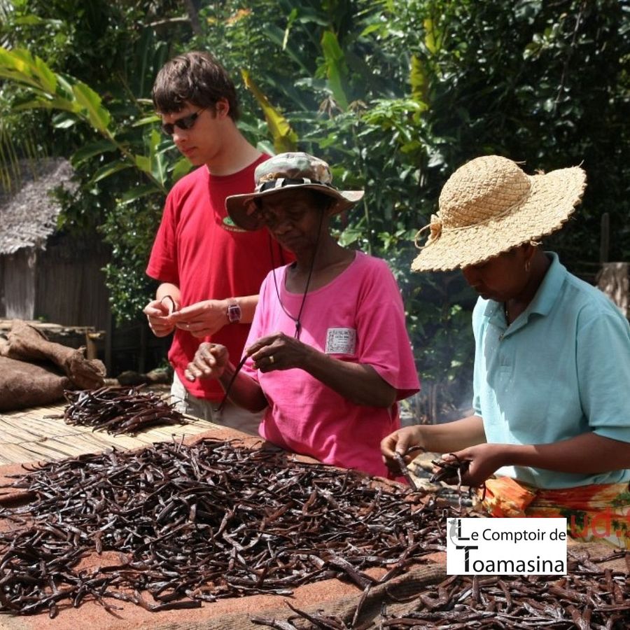 Vanille Bourbon de Madagascar - Qualité Gourmet product image (7)