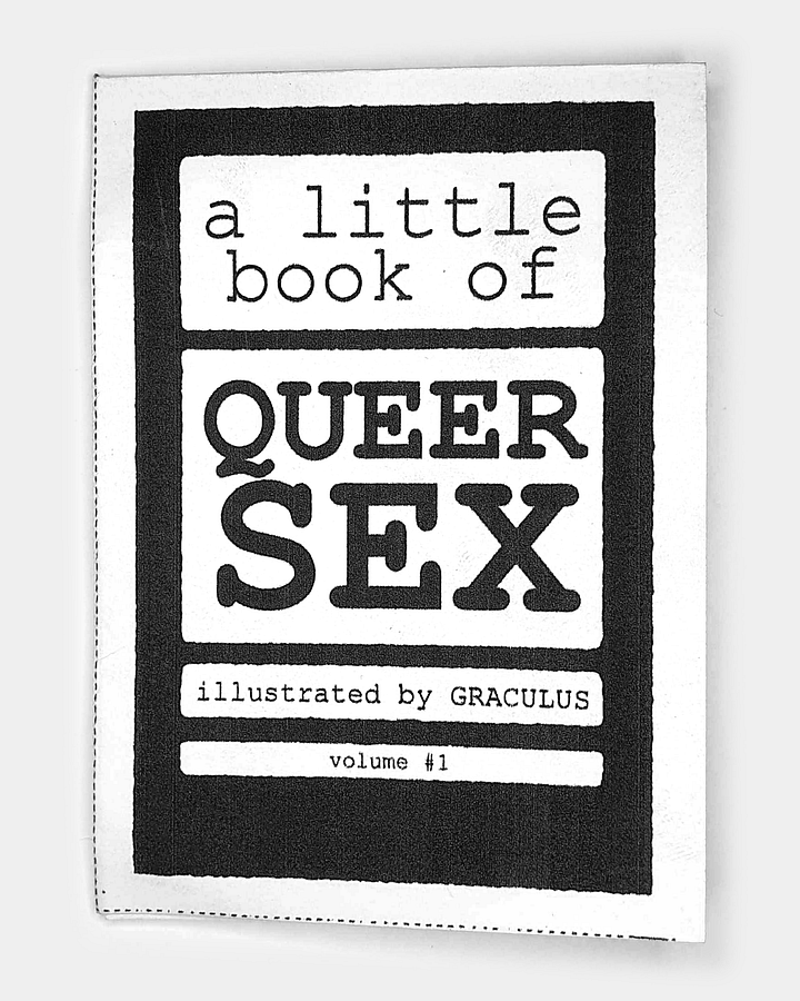 A Little Book of Queer S*x: Volume #1 product image (1)