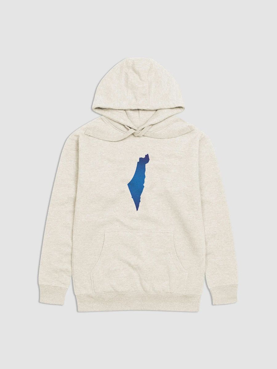 AM YISRAEL CHAI Premium Hoodie product image (2)