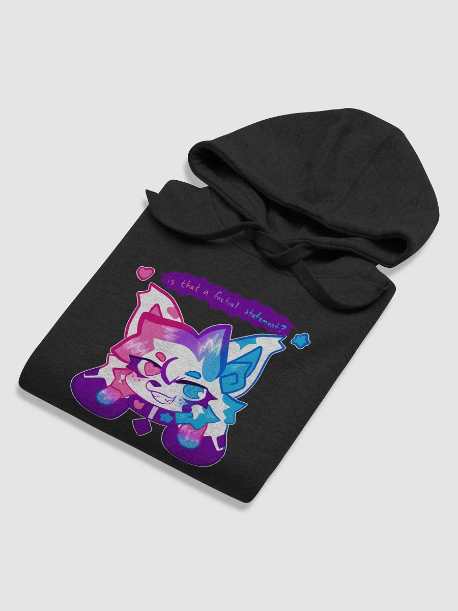 is that a factual statement? hoodie product image (72)