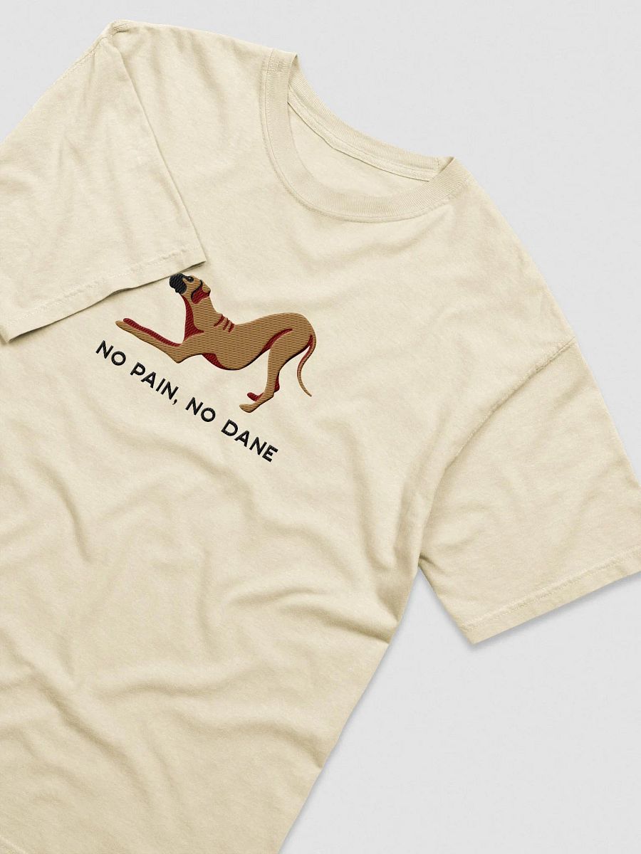 No Pain, No Dane T-Shirt(Embroidered) of a Great Dane product image (6)