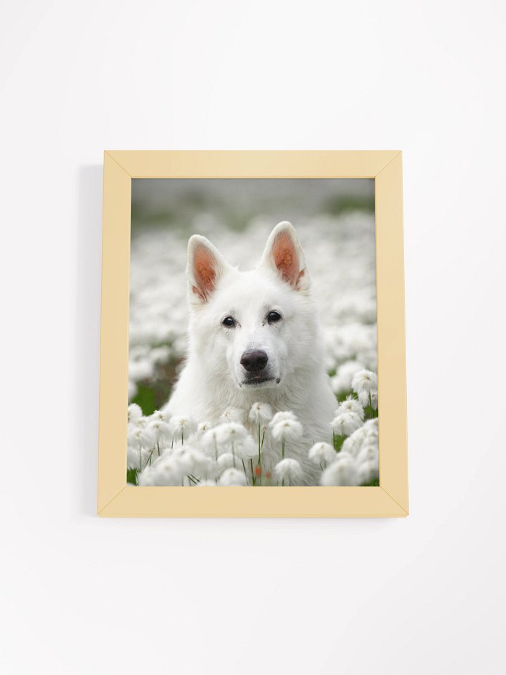 Rasta in the Wool grass product image (5)