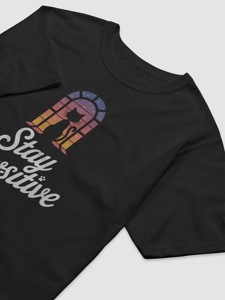 Stay Pawsitive Archway Tee product image (19)
