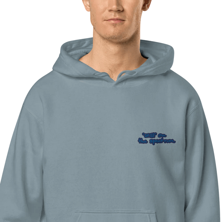 *still* on the spectrum (L.C. lake design) embroidered pigment hoodie product image (1)