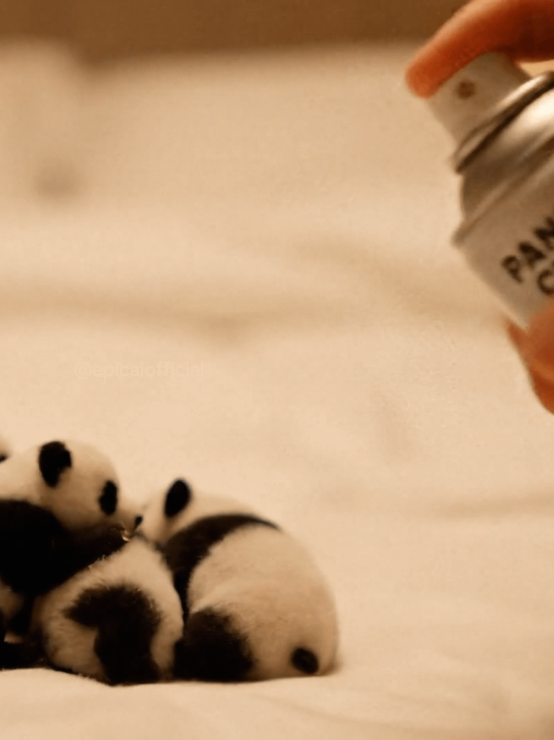 Tiny Animals Spray Prompt product image (4)