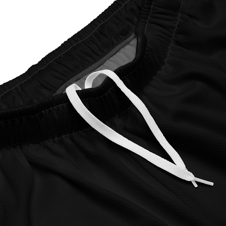 SATELLITE SOCIETY Skull Mesh Shorts product image (3)