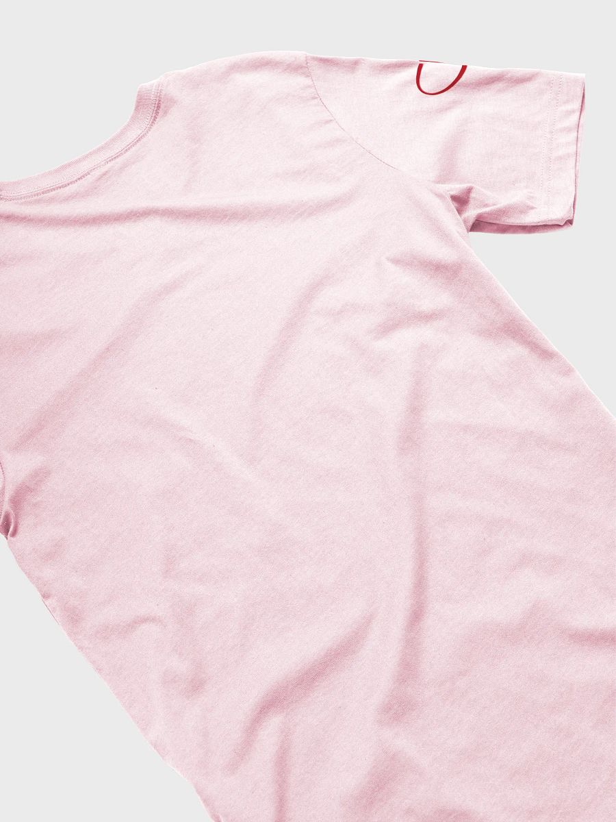 Somatica Sex Coaches do it with feeling T-Shirt product image (5)