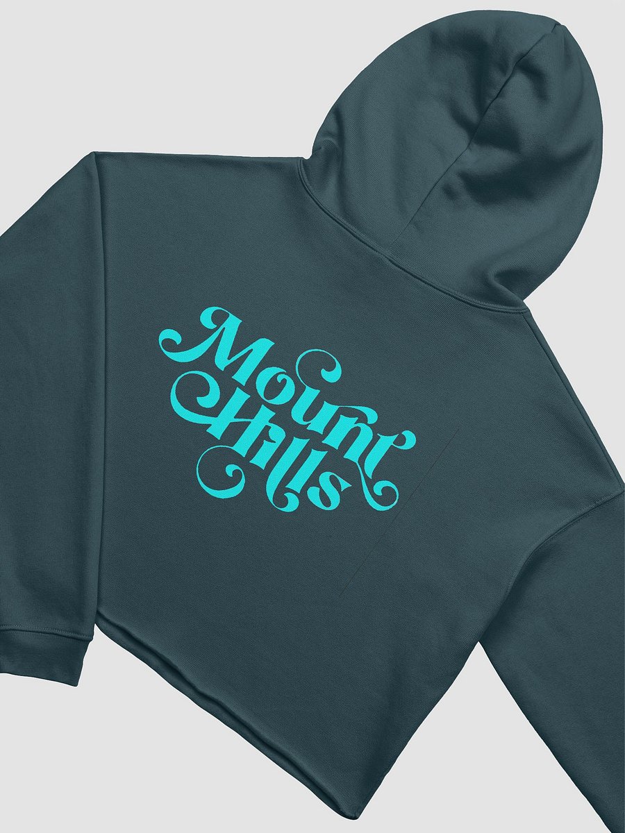 Mount Hills Swirl Crop Hoodie product image (22)
