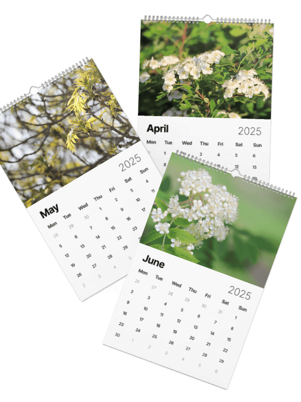 Trees Calendar 2025 product image (3)