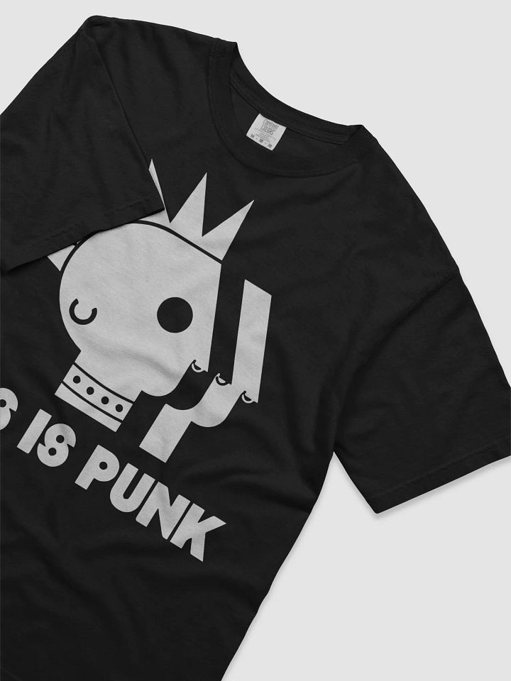 Two Crow Collective PBS Is Punk Shirt product image (2)
