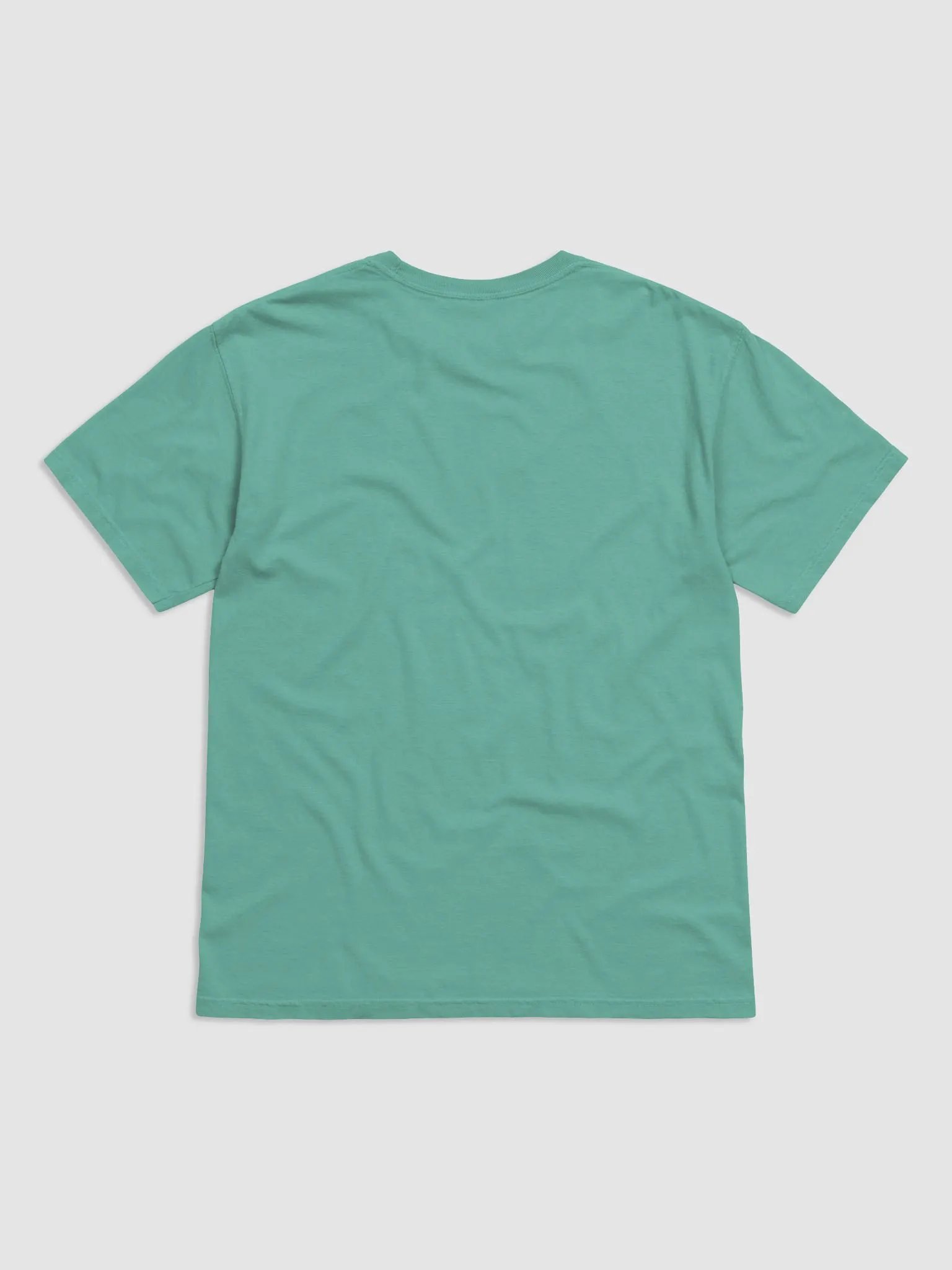Vintage Comfort: Garment-Dyed Cotton T-Shirt product image (2)