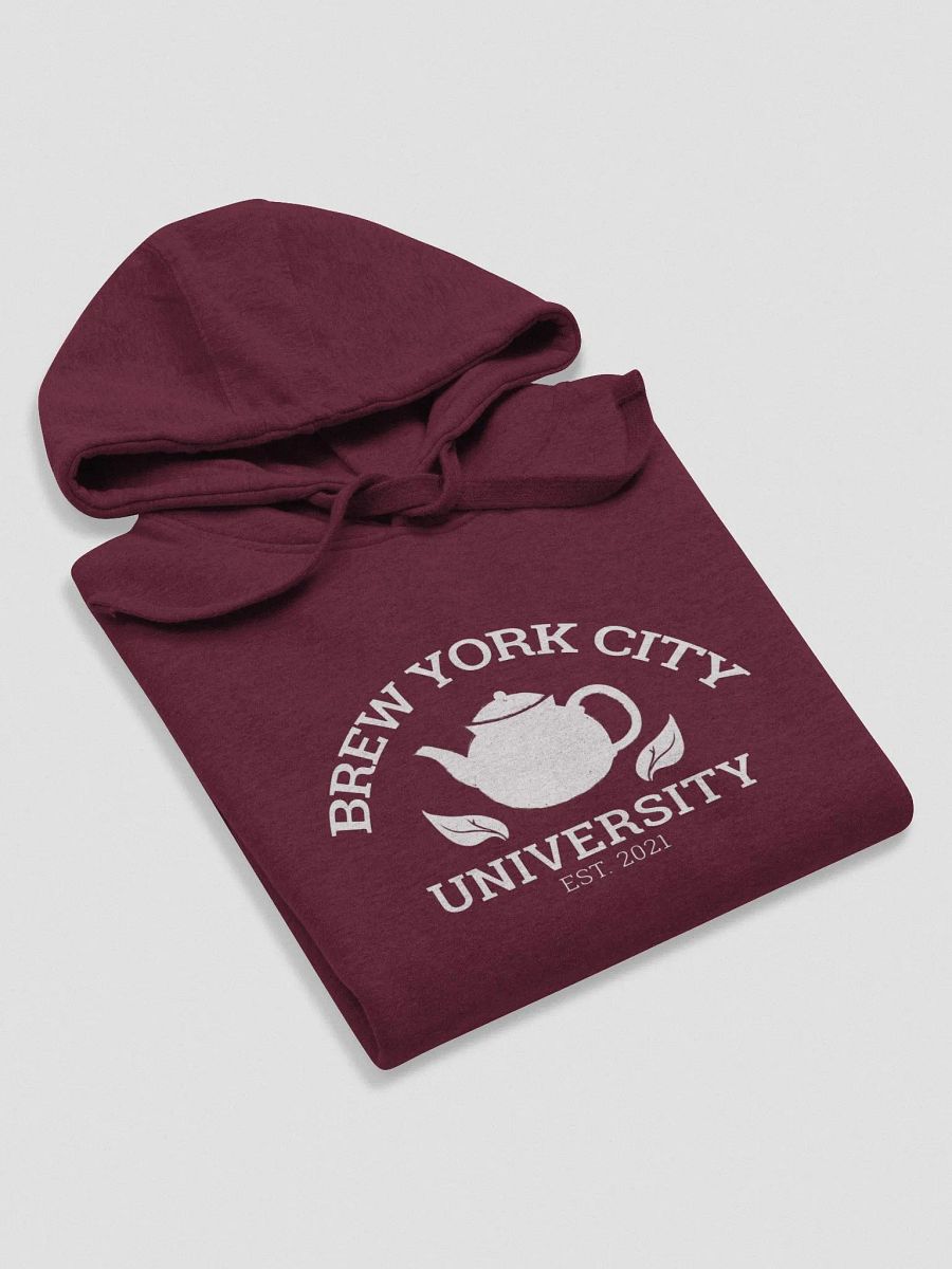 Brew York City University Hoodie product image (3)