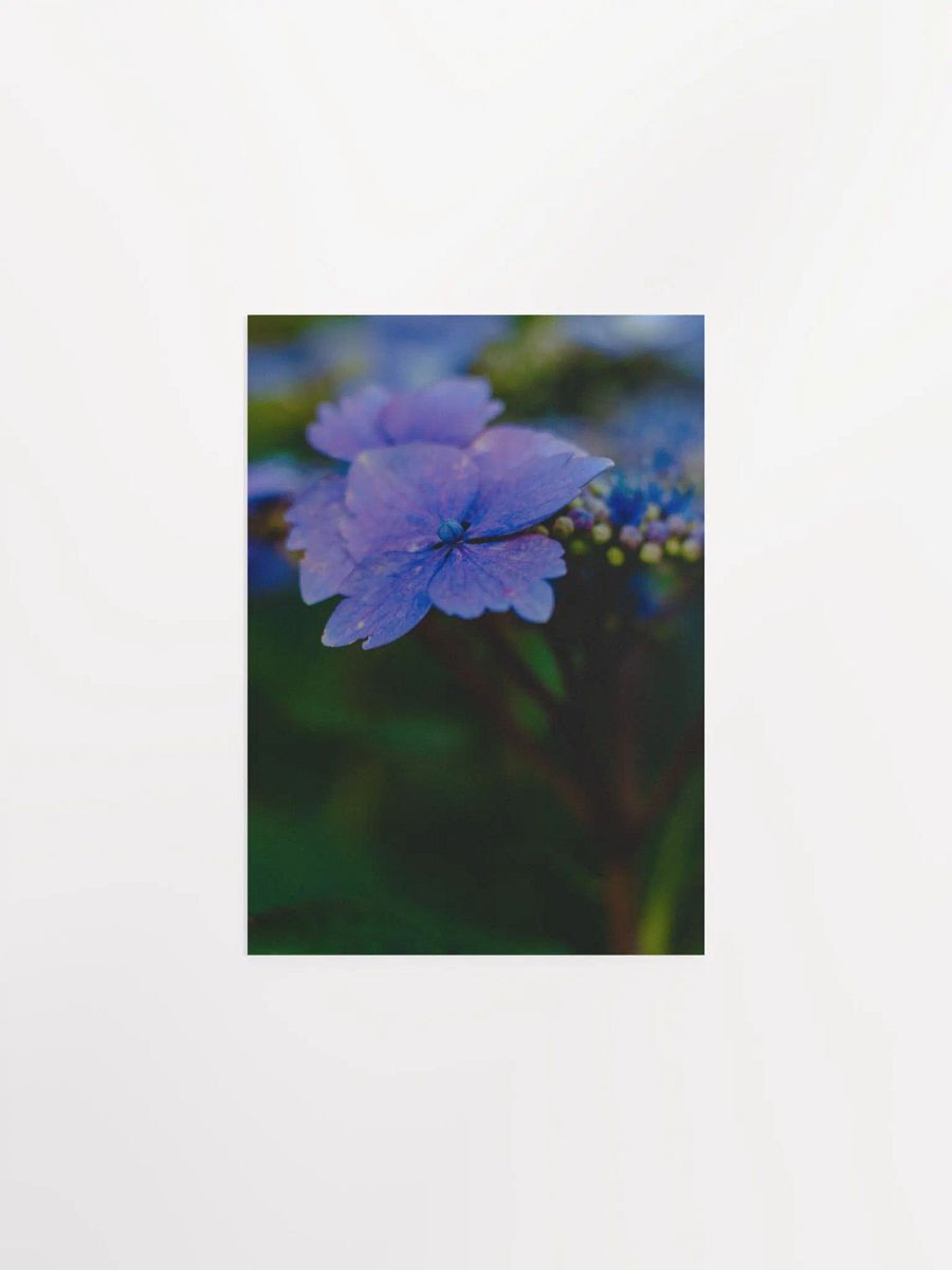 Blooming In The Sun product image (1)