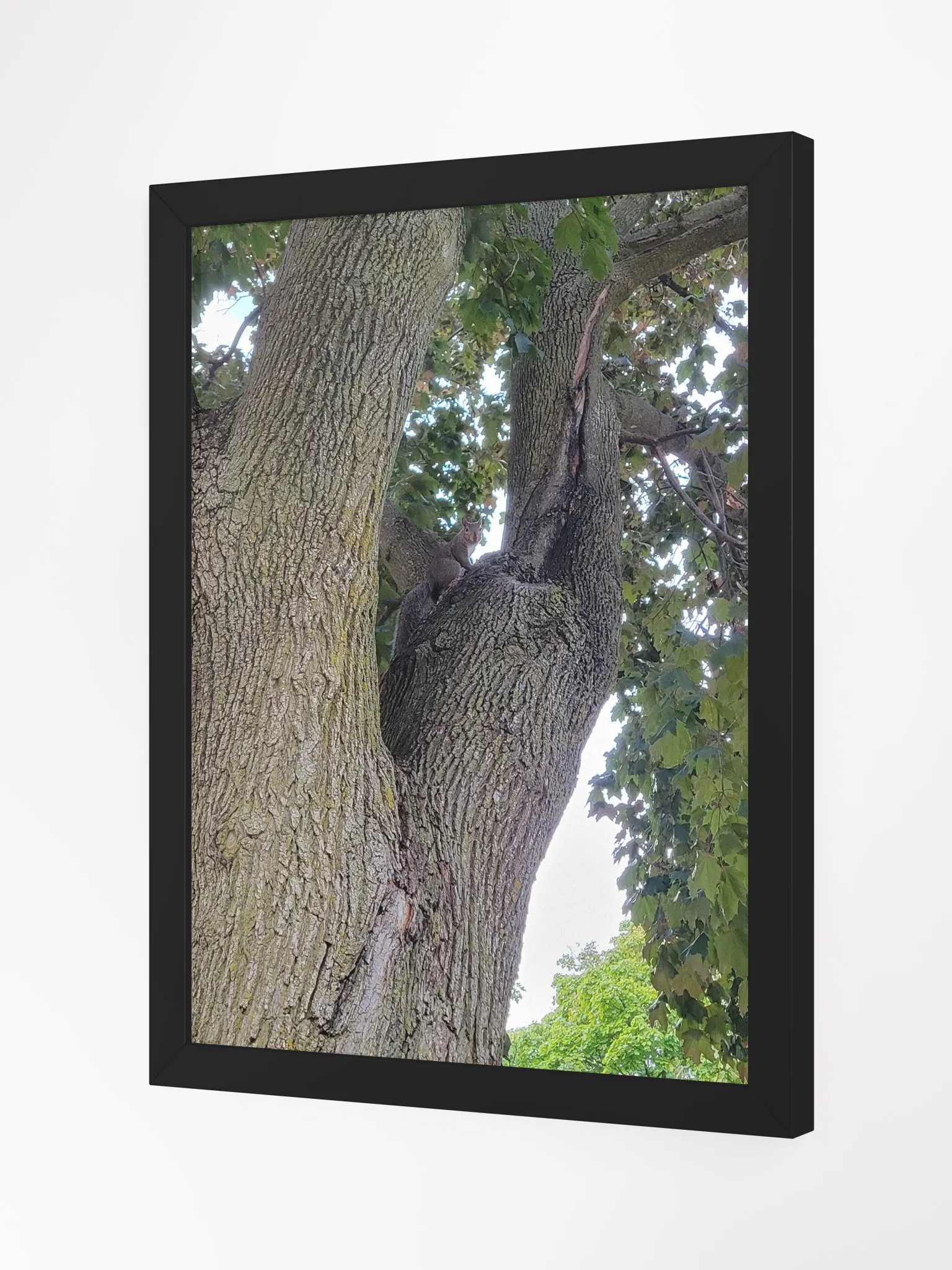 Nature's Embrace Framed Poster product image (4)
