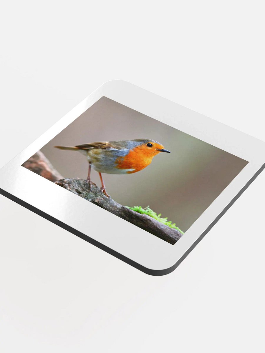 bird coaster product image (4)