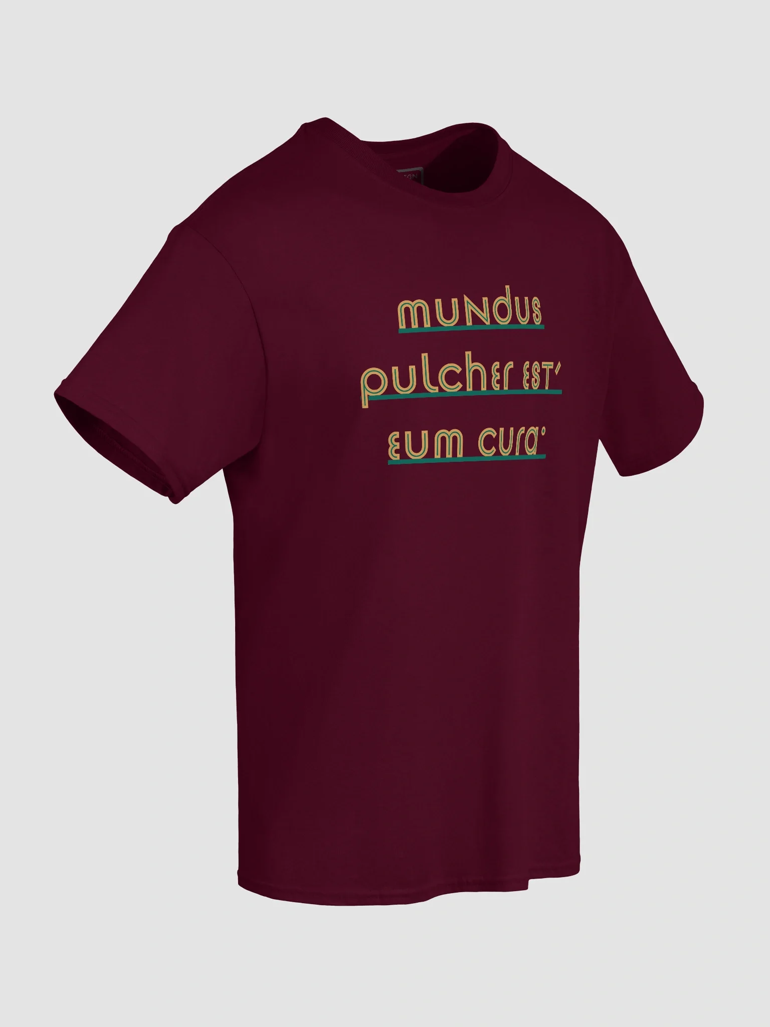 Mundus Pulcher Est, Eum Cura – Wear the Beauty. Protect the World Graphic Tee product image (8)