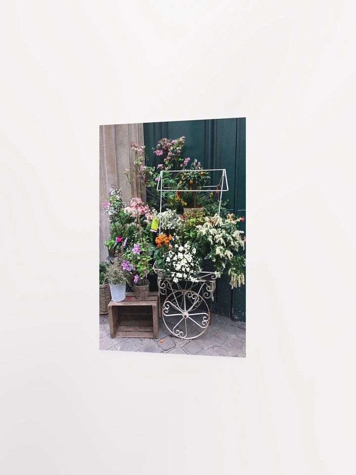 Paris Street Flower Shop product image (2)