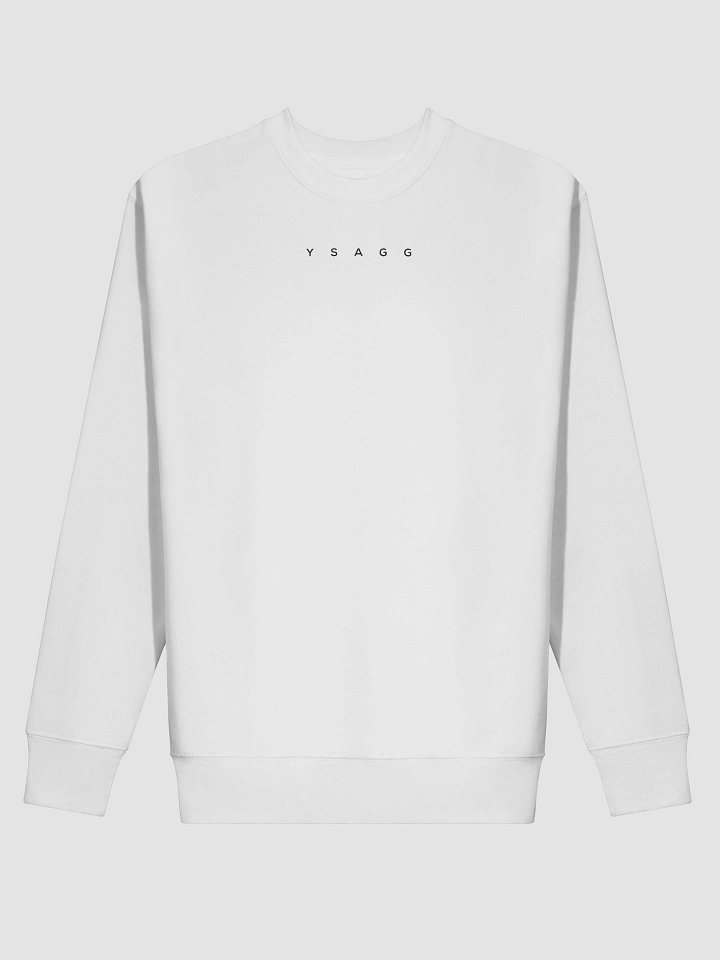 YSAGG Sweatshirt product image (2)