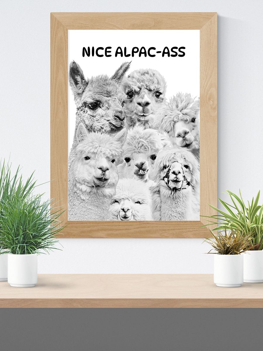 Black and White Alpacas Bathroom Downloadable Wall Art product image (7)