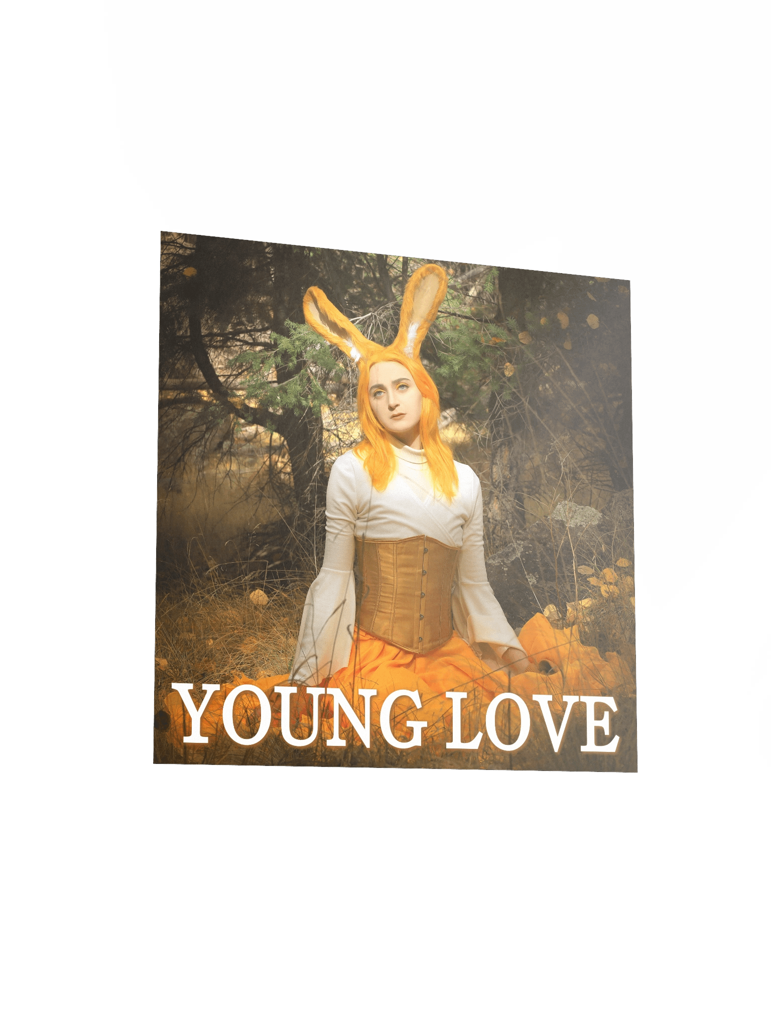 Young Love Poster [4 of 4] product image (3)