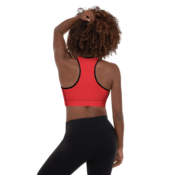 Crimson Comfort Padded Sports Bra product image (2)