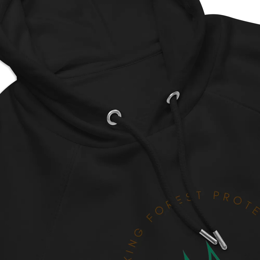 Forest Bridges Fall Colors Hoodies with Full-Color Emblem on Front product image (7)
