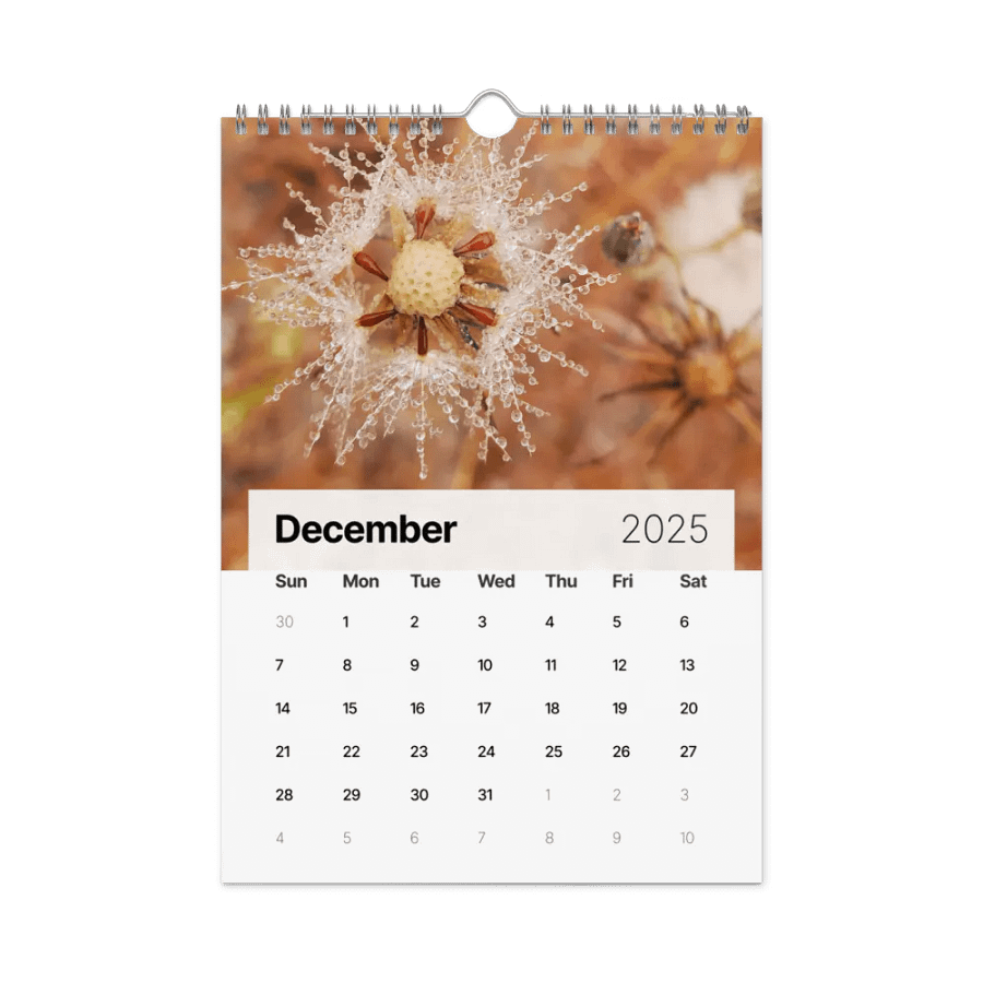 2025 Calendar product image (4)