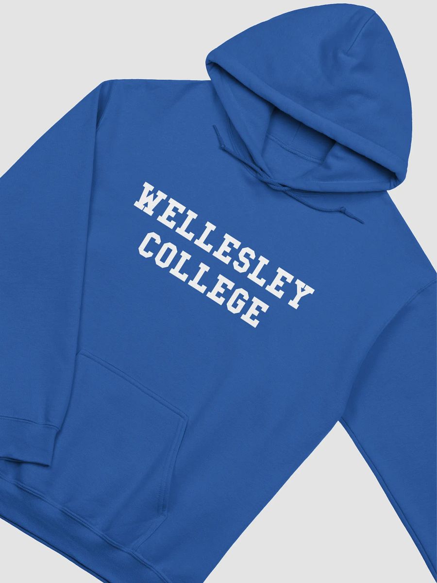 Reunion Classic Hoodie product image (12)