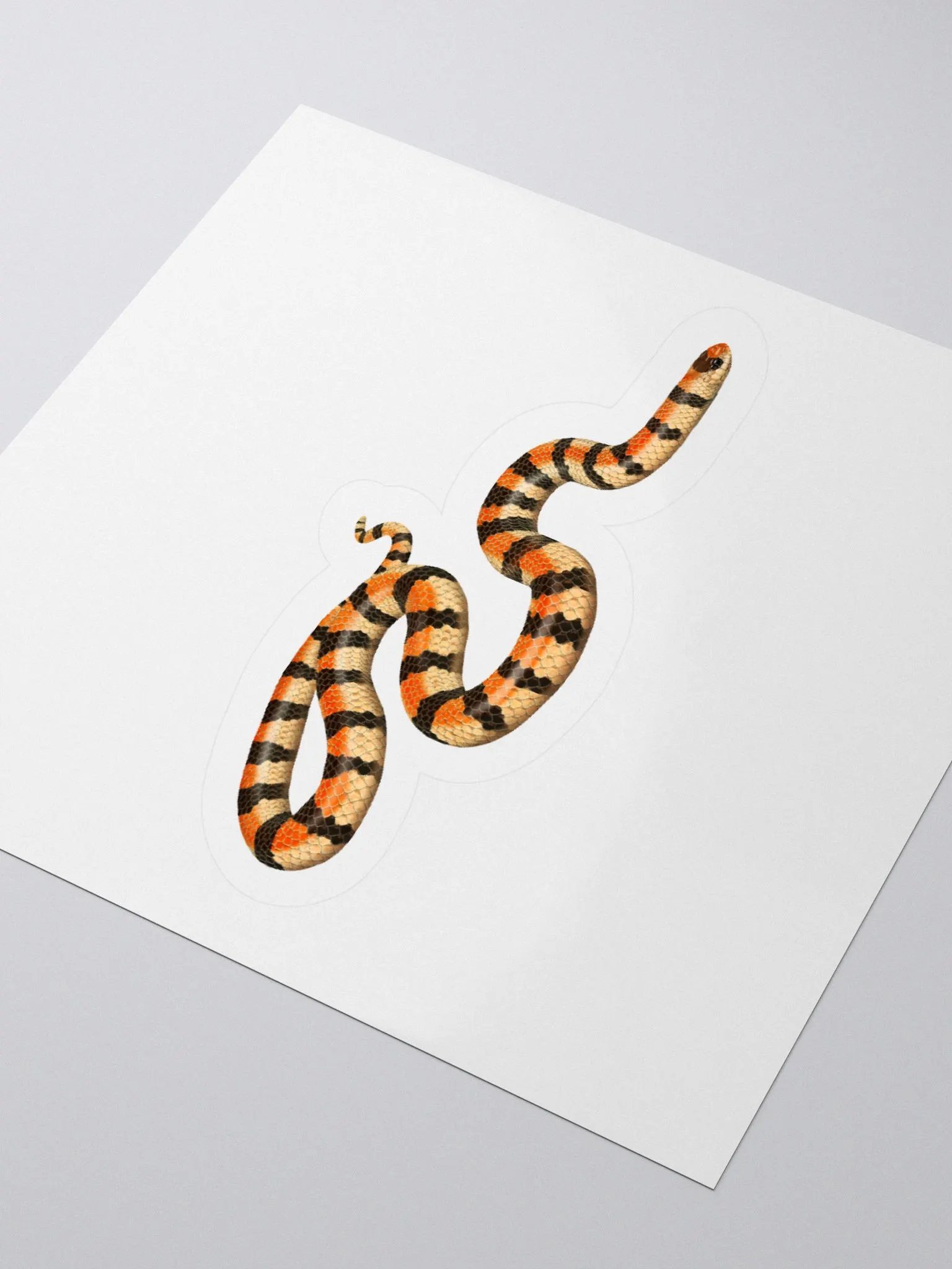 Die-Cut Sticker – Western Groundsnake (Banded) product image (3)