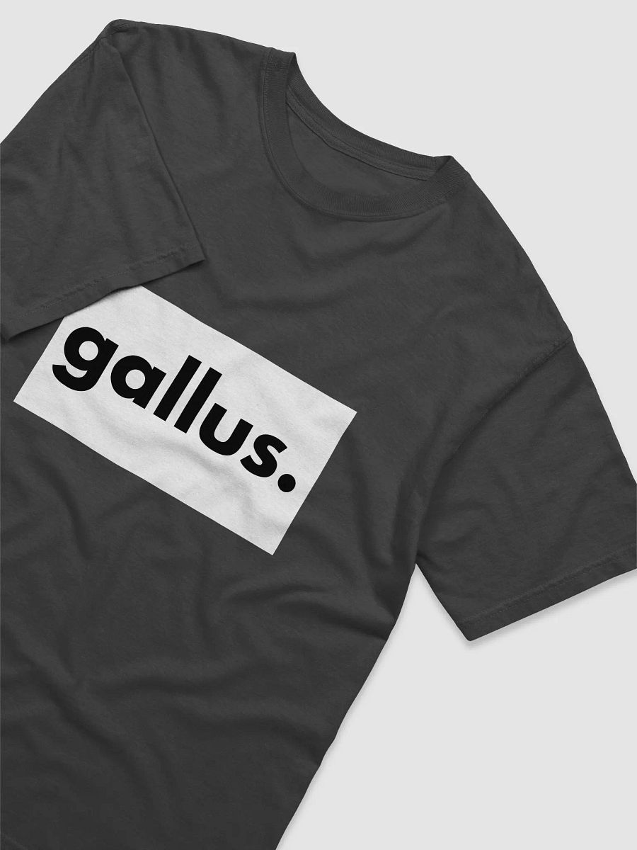 Gallus T-Shirt product image (3)