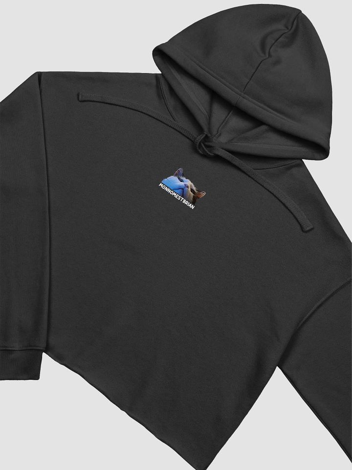 CROP HOODIE - MONNOMESTBRIAN product image (2)
