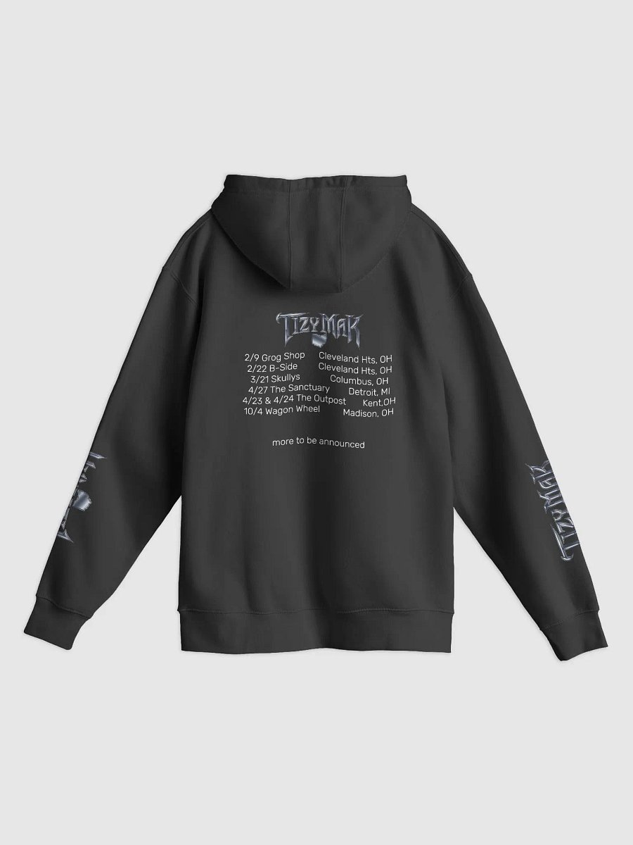 Tizy Mak Metallic Hoodie product image (6)