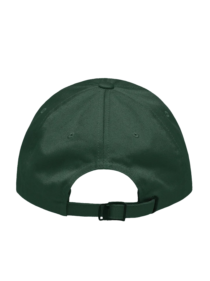 RR Dad Hat v2 product image (10)