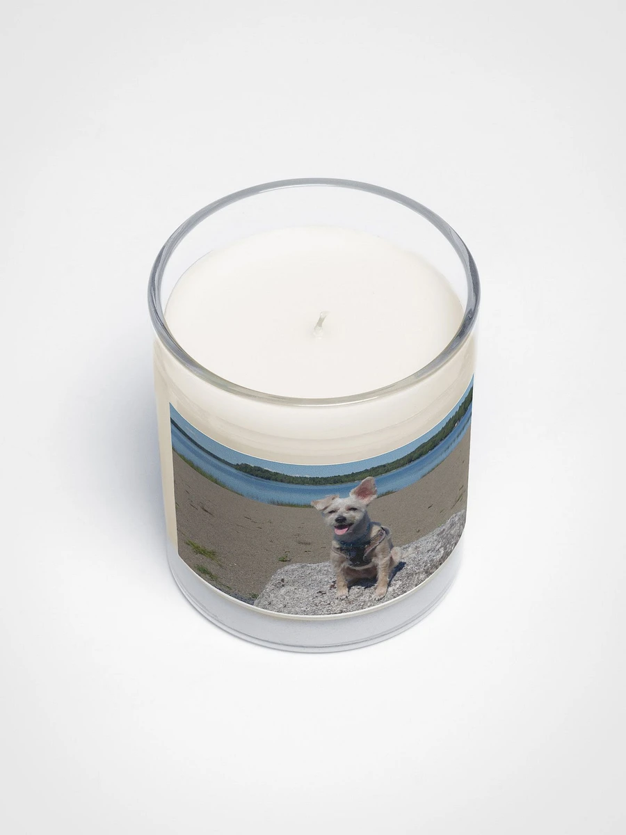 Mozzie At The Lake Candle product image (3)