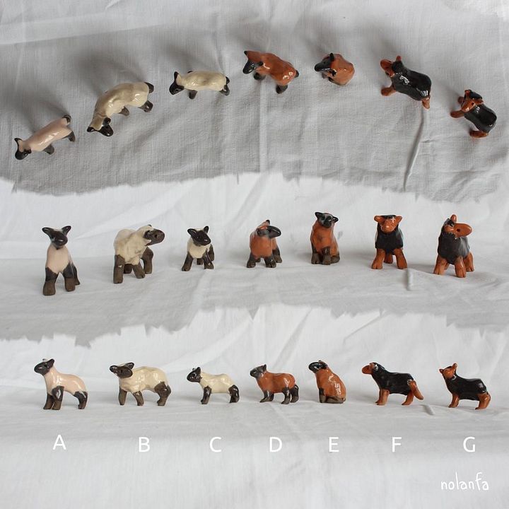 Mini sheep - Natural product image (2)