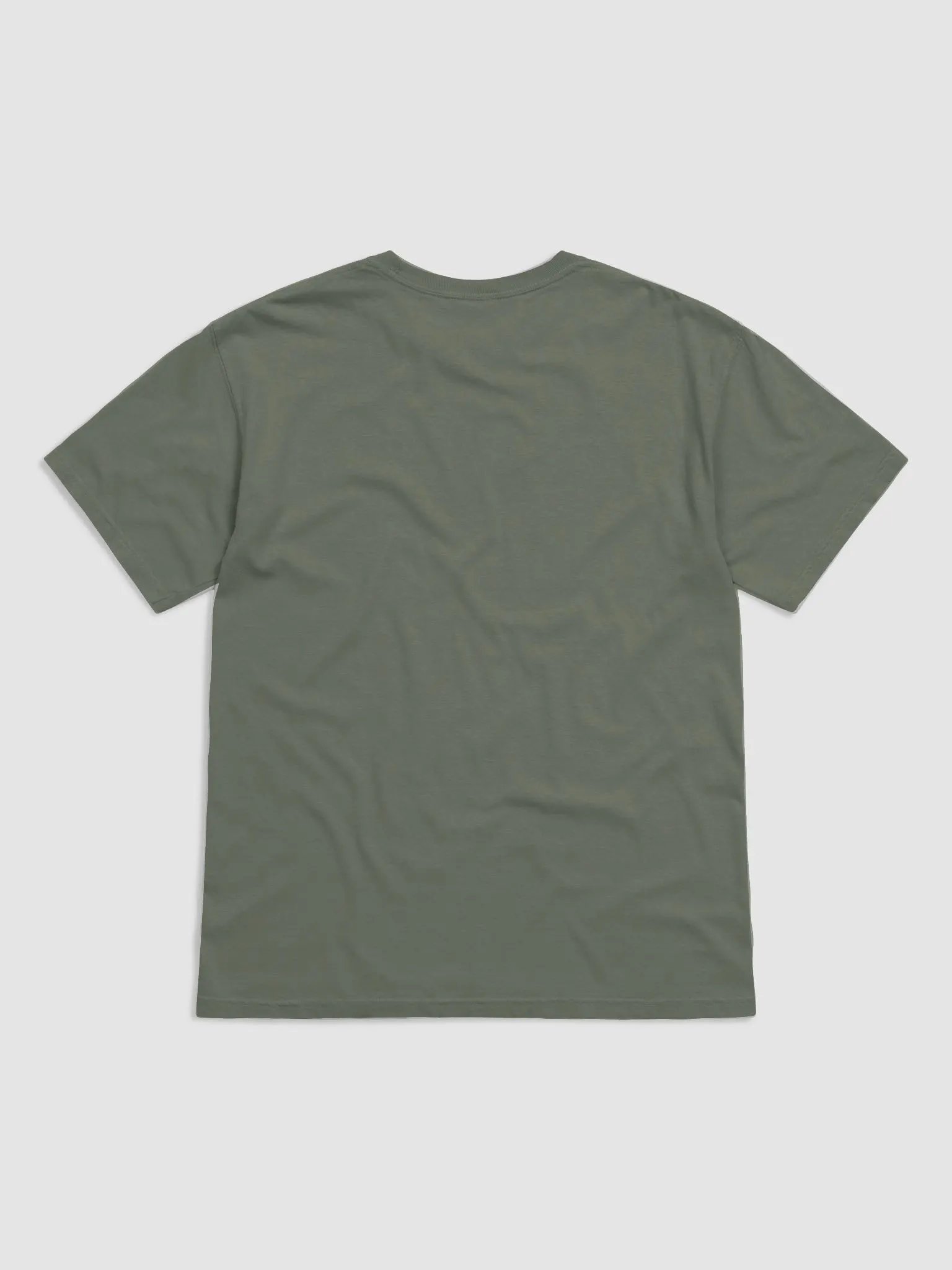 No Bad Dogs T-Shirt of a Chihuahua | Funny T-Shirt for Chihuahua Paw-rents product image (25)
