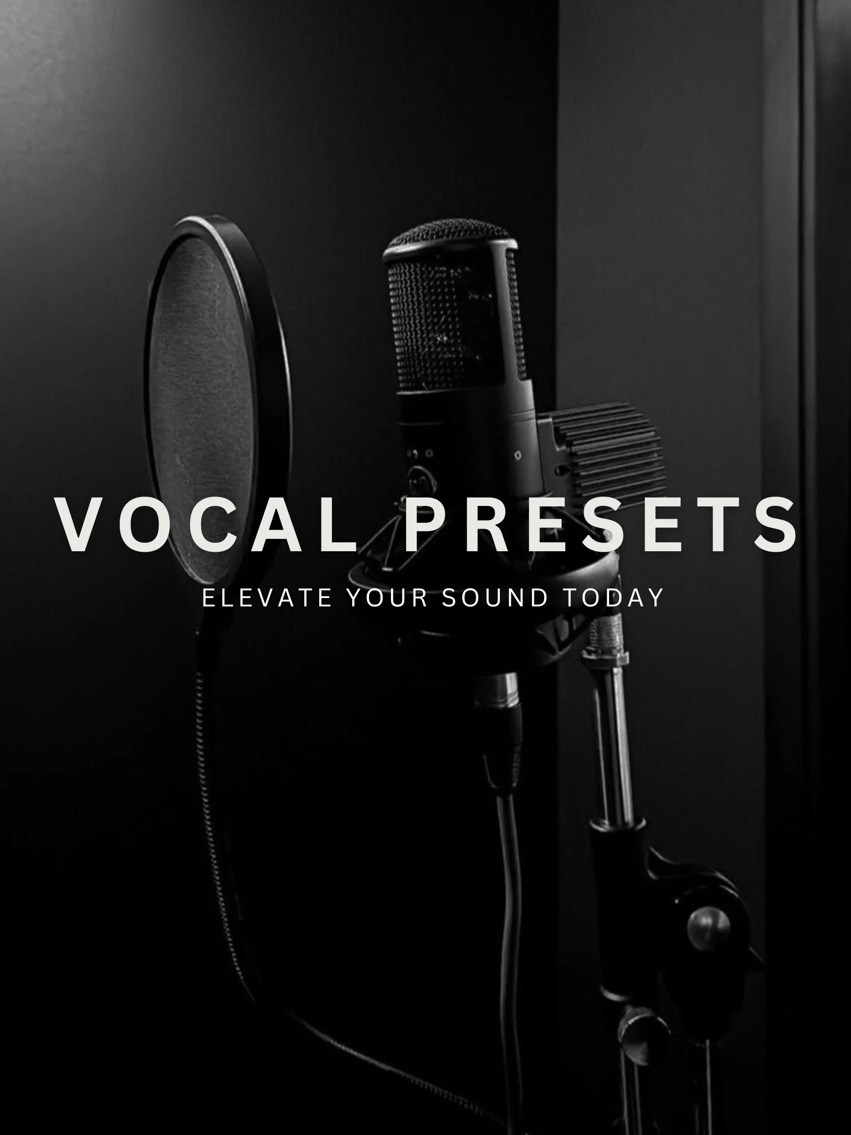 Vocal Presets product image (1)