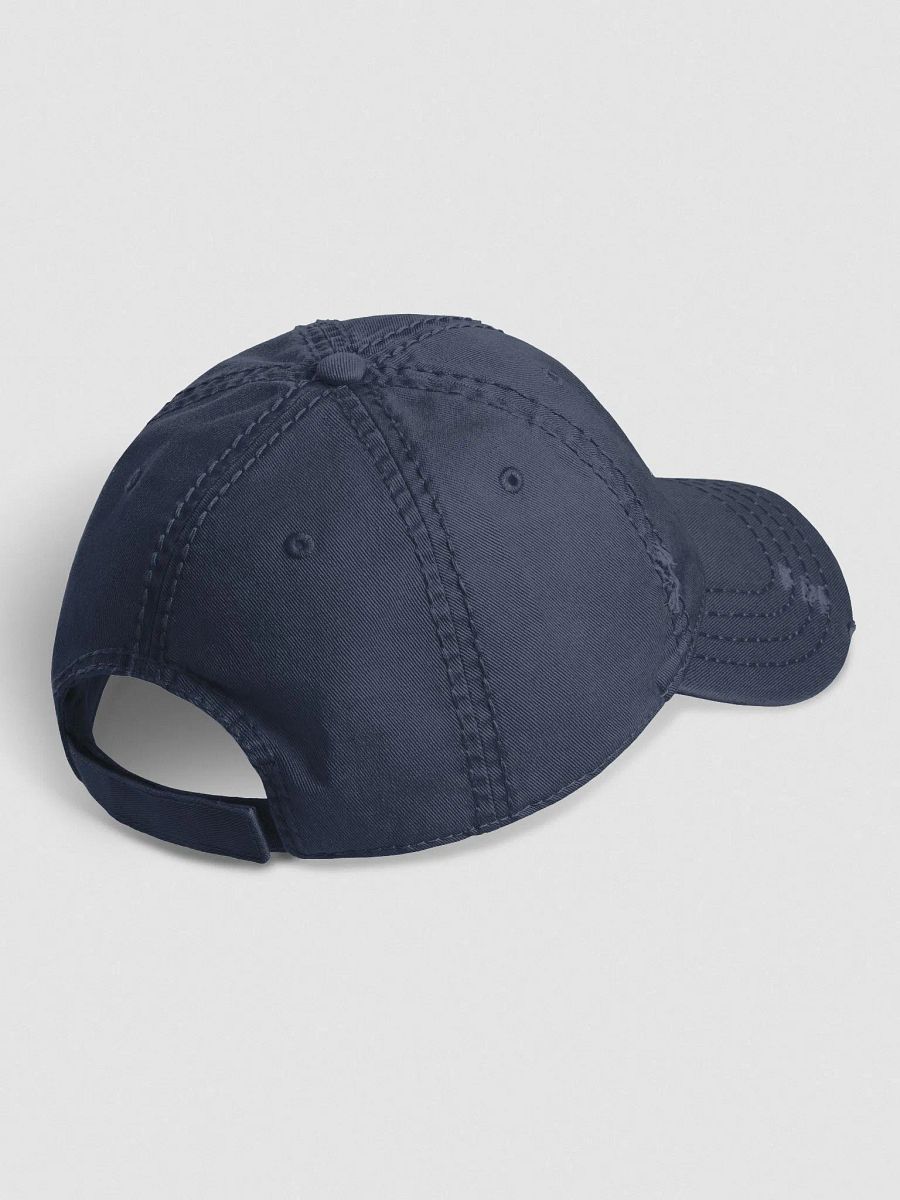Rogue Distressed Hat product image (27)