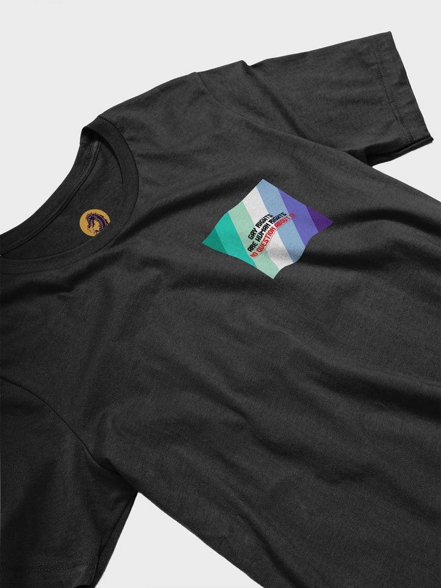 Gay Rights T-Shirt product image (3)