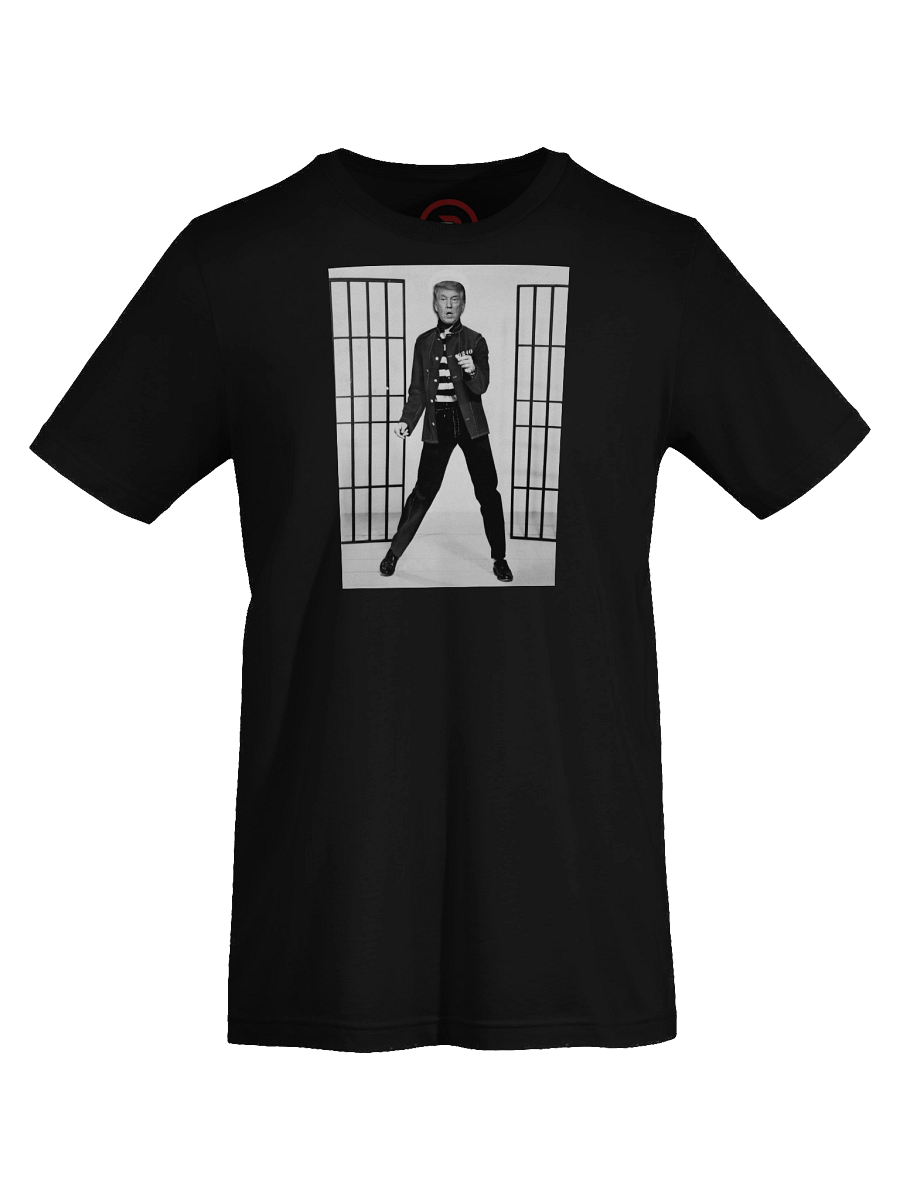 Trump House Rock product image (33)