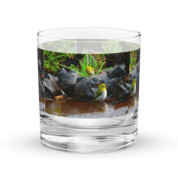 IUCAA Birds GLASS product image (2)