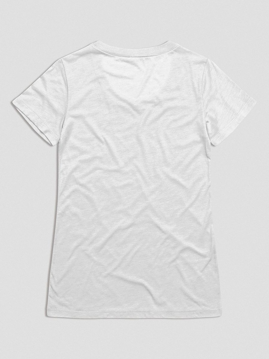 Vintage University T-Shirt (Women's Triblend) product image (6)
