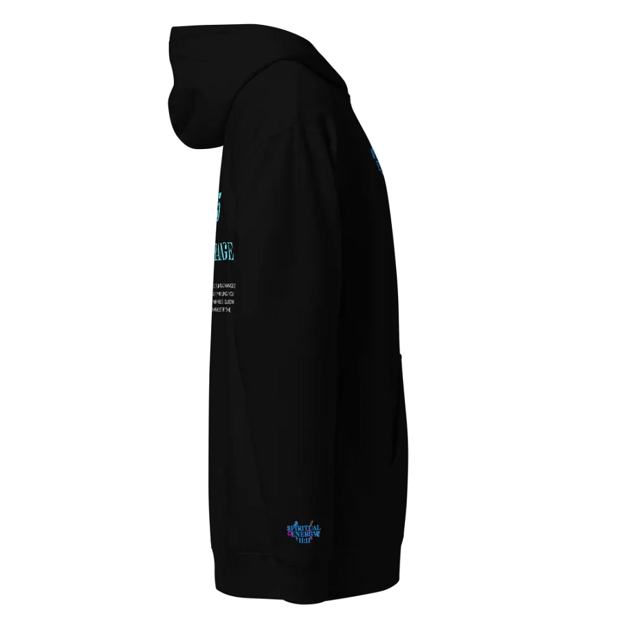 5555 Embrace Change Unisex Hoodie t – Welcome Growth & Transformation product image (3)