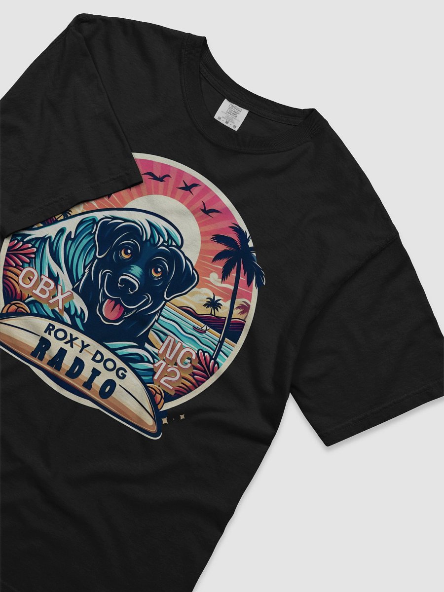 Roxy Dog Radio OBX NC 12 T-Shirt product image (29)