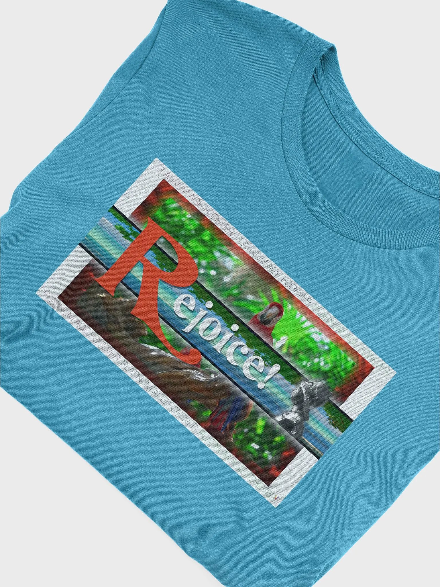 The Platinum Age product image (5)