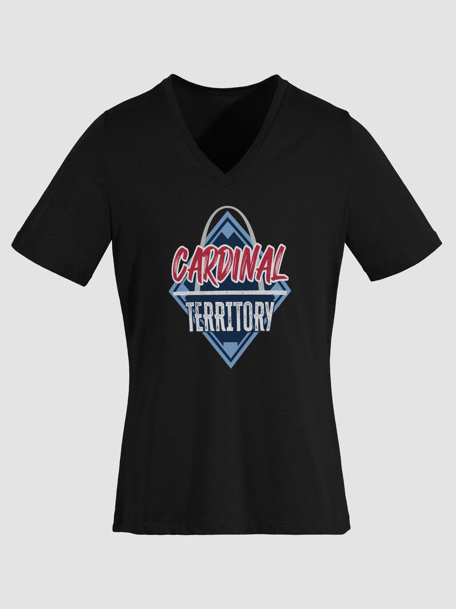 Women's V-Neck T-Shirt product image (1)