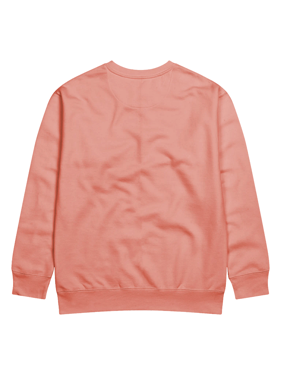 Silently Correcting Your Grammar Sweatshirt product image (8)