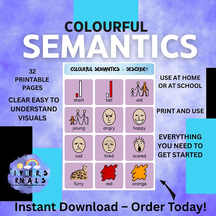 Colourful Semantics Posters Icon Card Packs | 36 Pages of Who, What Doing, Where, Describe Worksheets & Visuals | SEN, SLT, EYFS, Speech product image (2)