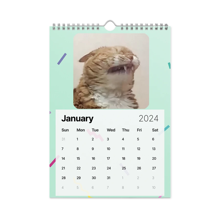 Wall Calendar (2024): Meme Cats product image (8)